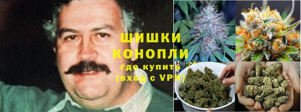 круглые Верея