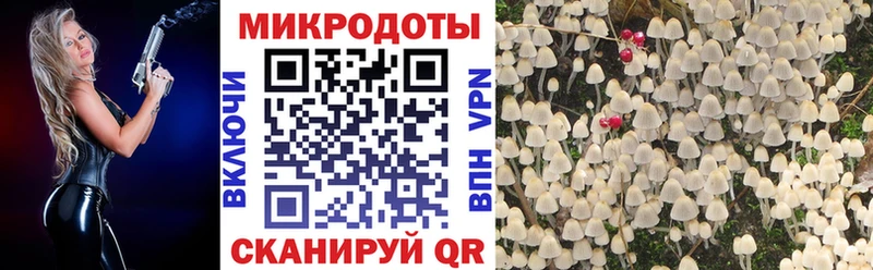 купить закладку  Луза  Псилоцибиновые грибы Magic Shrooms 